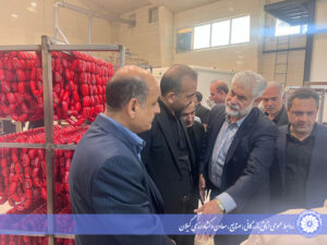 بازدید استاندار گیلان و مدیرعامل سازمان منطقه آزاد انزلی از واحدهای تولیدی شهرک صنعتی منطقه آزادانزلی
